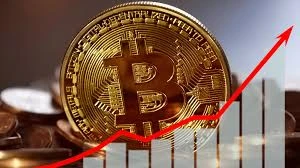 比特币购买压力为何新高？市场驱动因素有哪些？