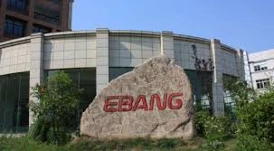 亿邦国际财务困境与战略转型分析